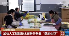 <b>全国多地都把成长人工智能做为本年的沉点任</b>